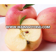 Popular china fresh apple