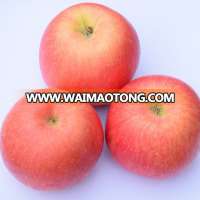 Best for you fuji apple exporter in china