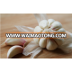 peeled garlic/garlic cloves/export quality