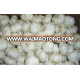 natural fresh garlic with good quality in qingdao, china