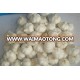 2015 new crop 10kg bulk garlic/fresh garlic cloves price