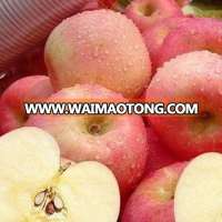 wholesale prices apple fruit/fresh fuji apple