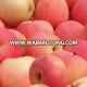 top good taste fuji apple fruit supply all year at cheap prices for sale