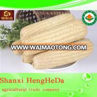 Anti-cancer newest price yellow corn