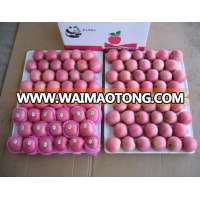 Common Cultivation Type best price fuji apple