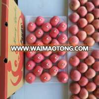 Fresh red fuji apple medium sizes