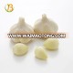 2016 new crop white fresh garlic in low price