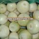 lowest price fresh red onion 2018 New Price