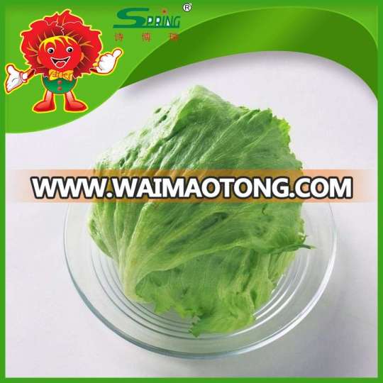 decorative lettuce hydroponic lettuce fresh iceberg lettuce