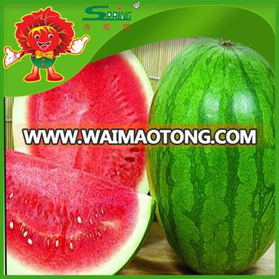 fresh watermelon