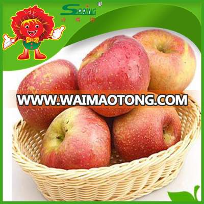 best health benefit fruits top quality fuji apples from China red fuji apple