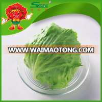 Organic Fresh Vegetables green oakleaf lettuce names lettuce