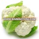 2017 Frozen IQF Broccoli/cauliflower In Bulk