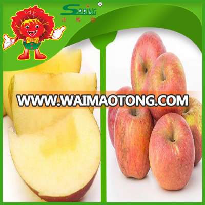 pearl apple nutricious apple fruit market prices apple