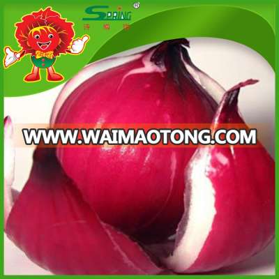 best quality onions in bulk for mcdonalds dehydrated onions