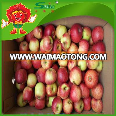 china fuji apples best price fuji apple fruit market prices apple