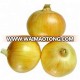 lowest price fresh red onion/yellow onion/white onion 2018 New Price