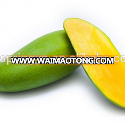 Mango cheap price wholesale mango exporters in China