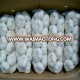 White Garlic-high quality with best price from Vietnam